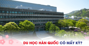 Du học Hàn Quốc có mấy kỳ? Hướng dẫn chọn kỳ học phù hợp nhất