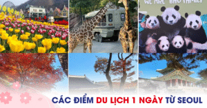 Top 10 địa điểm du lịch trong ngày khởi hành từ Seoul
