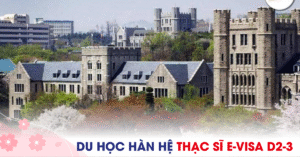 Du học Thạc sĩ Hàn Quốc E-visa D2-3: Điều kiện và lợi ích
